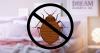 Photo for Factors to Consider Choosing The Right  Bed Bugs Pest Control Service