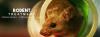 Photo for Pest control for rats in Noida | +91-9899176888