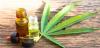 Photo for Buy hemp oil online
