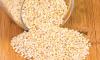 Photo for Sorghum and Sorghum Seeds Market Expected to Reach $10,591 Million by 2023