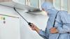 Photo for 3 Tops Methods for Natural Pest Control