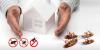 Photo for Signs that you have a bed bug infestation Tips on Bed Bug Eradication