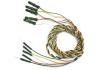 Photo for Intraoperative Monitoring Electrodes Market Insights,Status, Government Policies and Outlook