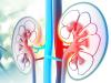 Photo for Diabetic Nephropathy (Insulin) Market: Analysis & Forecast with Upcoming Trends 2021