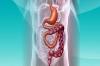 Photo for Short Bowel Syndrome Market Huge Growth Opportunity Trend By 2018-2026