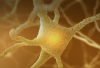 Photo for Metabolic Disorders Therapeutic Market to Garner Overwhelming Hike in Revenues by 2021