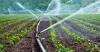 Photo for Drip Irrigation Market, By Components, Crop Type, and Application, 2018-2026