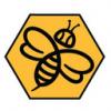 Photo for The Bee Man