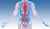 Photo for Vascular Surgery in Kolkata - Overview On Credihealth