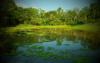 Photo for CAYA SHOBO, AYAHUASCA HEALING RETREAT CENTRE