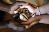 Photo for THE POWERFUL TRADITIONAL  HEALER AND SPELL CASTER DOCTOR CALL OR WHATS APP +27660432483 I have been casting spells for many years and I have helped many people, I might be able to help you too.  I am honest, and I genuinely care for all the clients who ch
