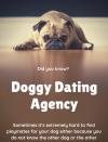 Photo for Doggy Dating Agency