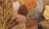 Photo for Grain Analysis Market Segmented by Target Tested, Grain Types, Components, End-Use Industry and Opportunity Analysis, 2018-2026