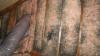 Photo for Livermore Attic Insulation Pros