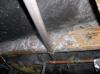 Photo for Mold Cleanup North Charleston