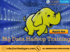 Photo for Big Data Training| Big Data Certification 