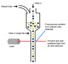 Photo for Flow Cytometry Market - Trends, and Forecast till 2025