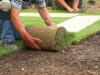 Photo for Monster Lawn Service, LLC