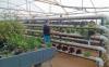 Photo for Aquaponics Market Analysis, Competition status, and Industry Demand 2026
