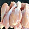 Photo for Sudha Poultry and Chicken Cente