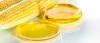 Photo for Global High Fructose Corn Syrup Market Segmented By Trends and Forecast to 2025