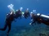 Photo for Dive Indonesia