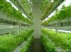 Photo for 2018-2025 Vertical Farming Plant Factory Market Provides An In-Depth Insight Of Sales And Trends Forecast
