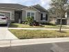 Photo for Shrubs Trimming Service Lithia FL