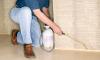 Photo for Ant Control In Yard