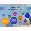 Photo for Want to have best digital marketing services in noida ?