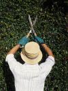 Photo for Vondersaar's Tree Service