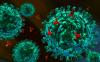Photo for Global Tissue Histamine Human Immunoglobulin Market Expected to Deliver Dynamic Progression until 2025