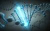 Photo for Global Mutation Detection Kit Industry Market Outlook 2019 – Growth Drivers, Opportunities and Forecast Analysis to 2025