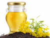 Photo for Rapeseed Oil Market Projected to Reach $36,560 Million by 2023