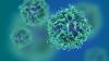 Photo for CAR T Cell Therapy Market Expansion to be Persistent During 2018 – 2026