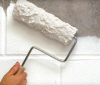 Photo for Mold Killing Primer Edmonton