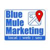 Photo for Blue Mule Marketing