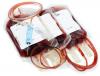 Photo for Disposable Blood Bags Market - New Business Opportunities and Investment Research Report