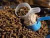 Photo for Animal Food Supplements Market Report Till 2025