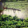 Photo for Agricultural Biological Market - Size, Share, and Forecast to 2025