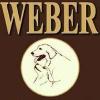 Photo for Webers Golden Retrievers