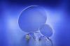 Photo for Global and Japan Transparent Ceramics Market Forthcoming Developments, Growth Challenges, Opportunities 2022