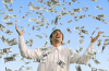 Photo for How to win more on UK Lottery