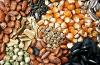 Photo for Hybrid Seeds Market Research Report Forecast Till 2026