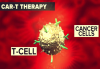 Photo for CAR T Cell Therapy Market Is Touching New Levels – To Grow at a healthy CAGR by 2026 with Key players