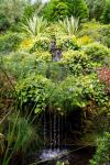 Photo for Aqua Gardens Plus