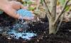 Photo for Agricultural Colorants Market: Segmentation, Opportunities, Trends & Future Scope to 2026