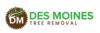 Photo for Des Moines Tree Removal