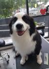 Photo for Qpet Bondi Junction
