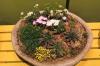Photo for Expert Indoor Plantscaping for Your Philadelphia Home or Business